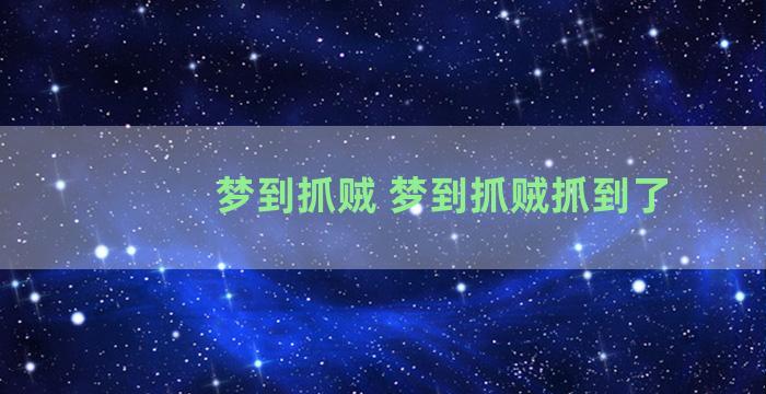 梦到抓贼 梦到抓贼抓到了